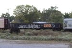 GNTX 295364